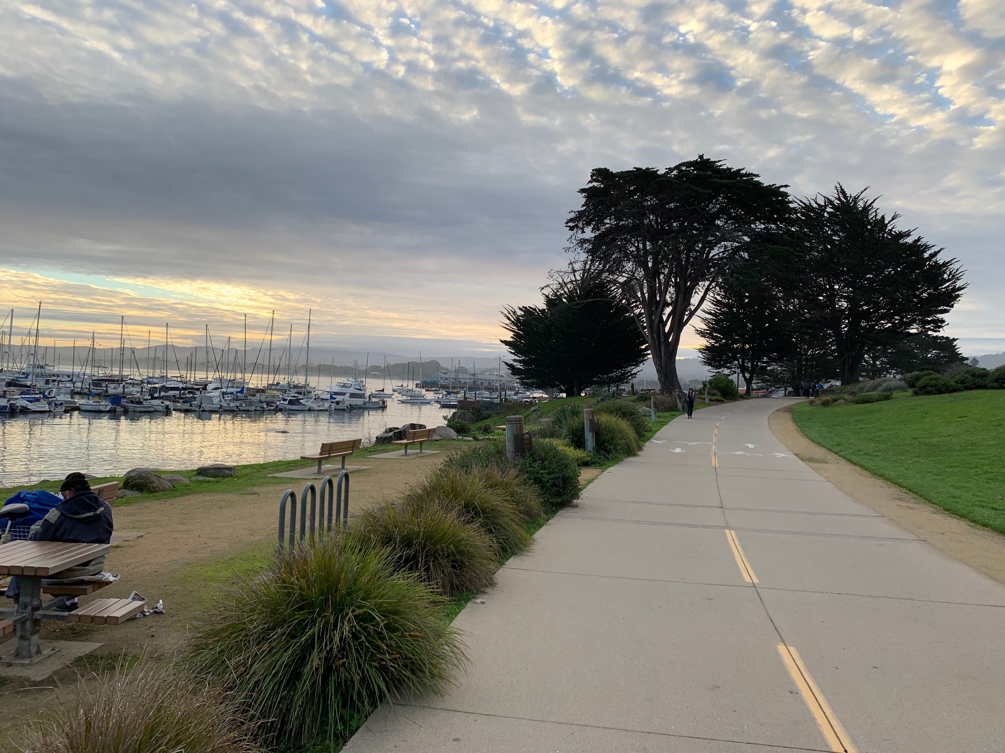 A peaceful waterfront path lined with grass and trees, leading to a marina with moored boats under a cloudy sky.