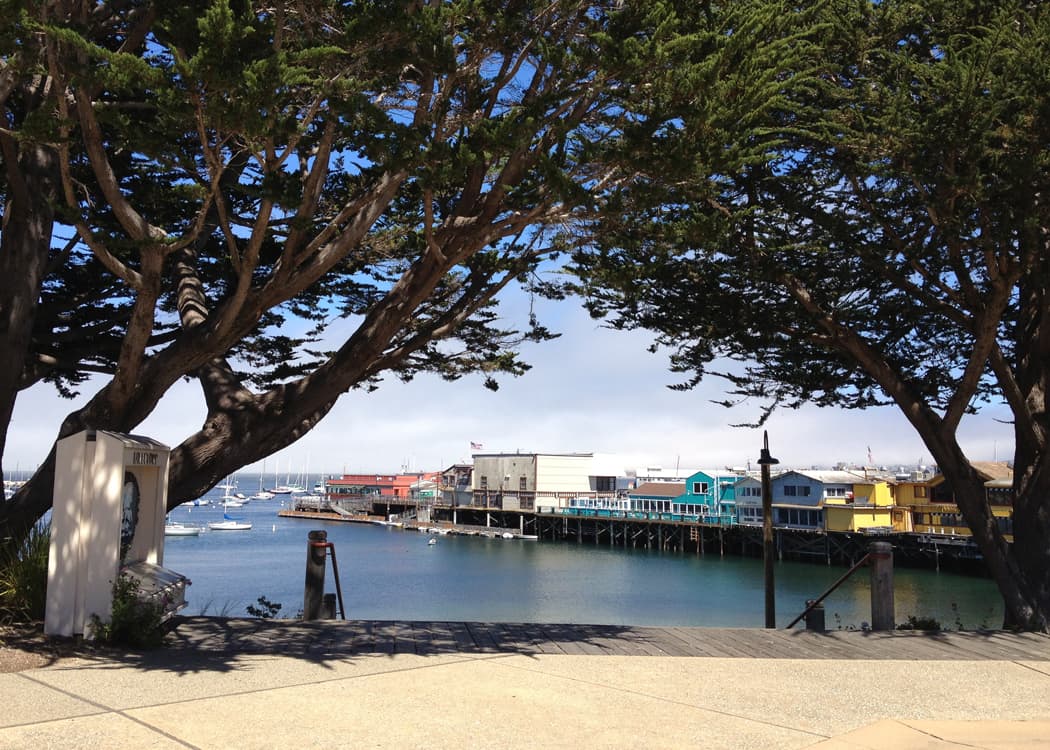 A serene waterfront scene framed by trees, showcasing colorful buildings along the pier.