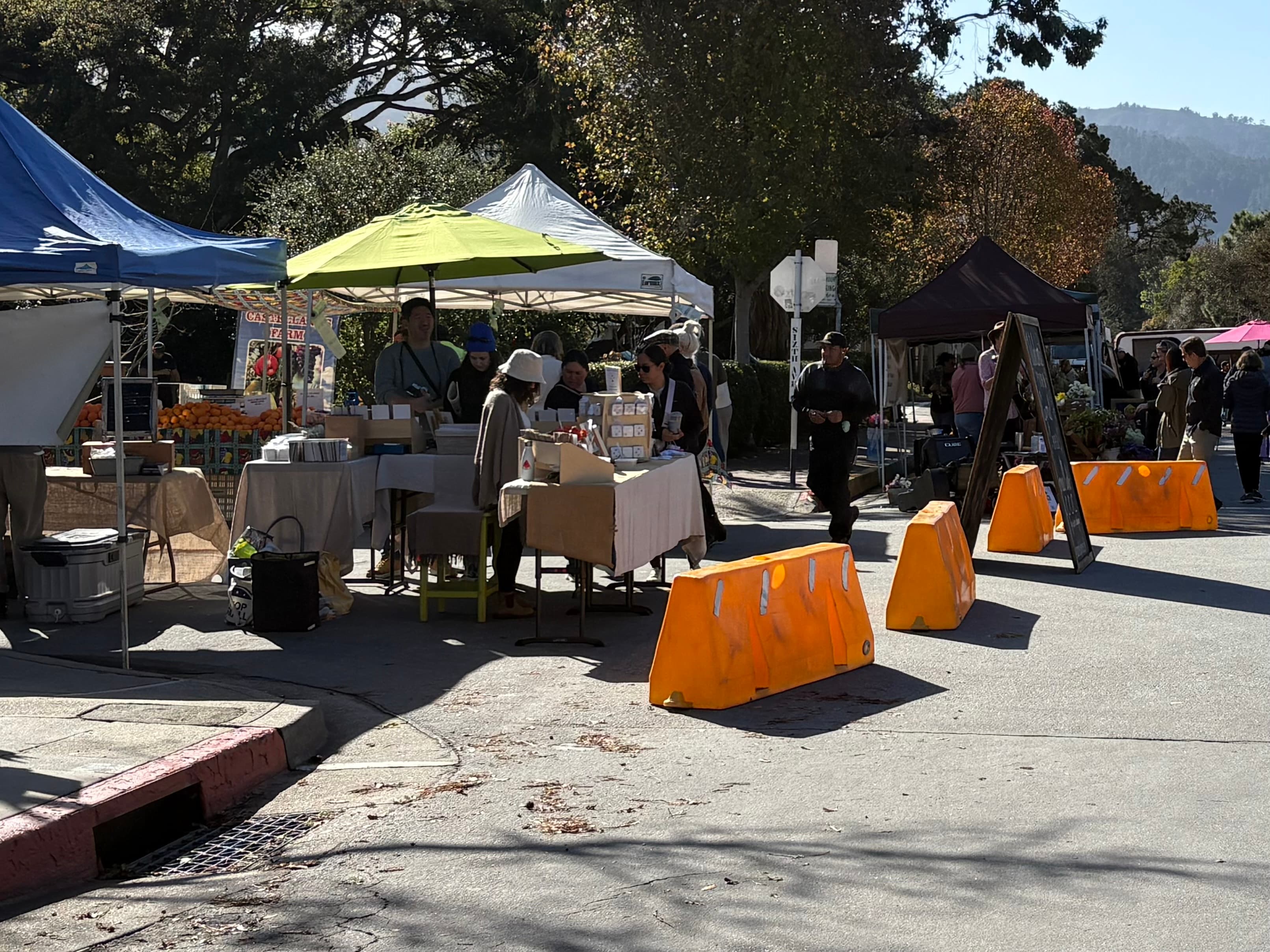 A vibrant outdoor market scene featuring vendors under canopies, with colorful barriers lining the street.