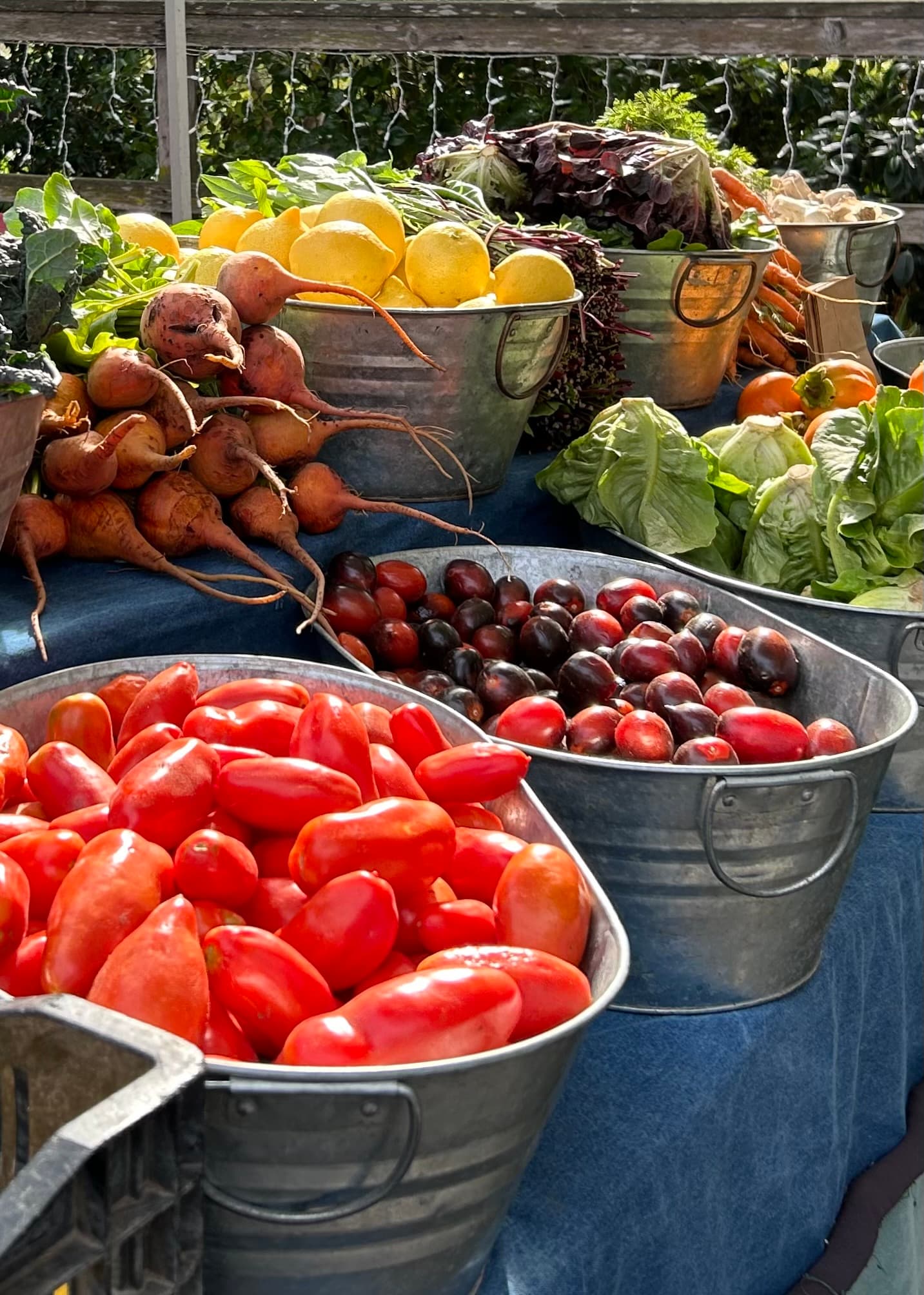 Baskets filled with a variety of fresh vegetables and fruits at a farmer's market.