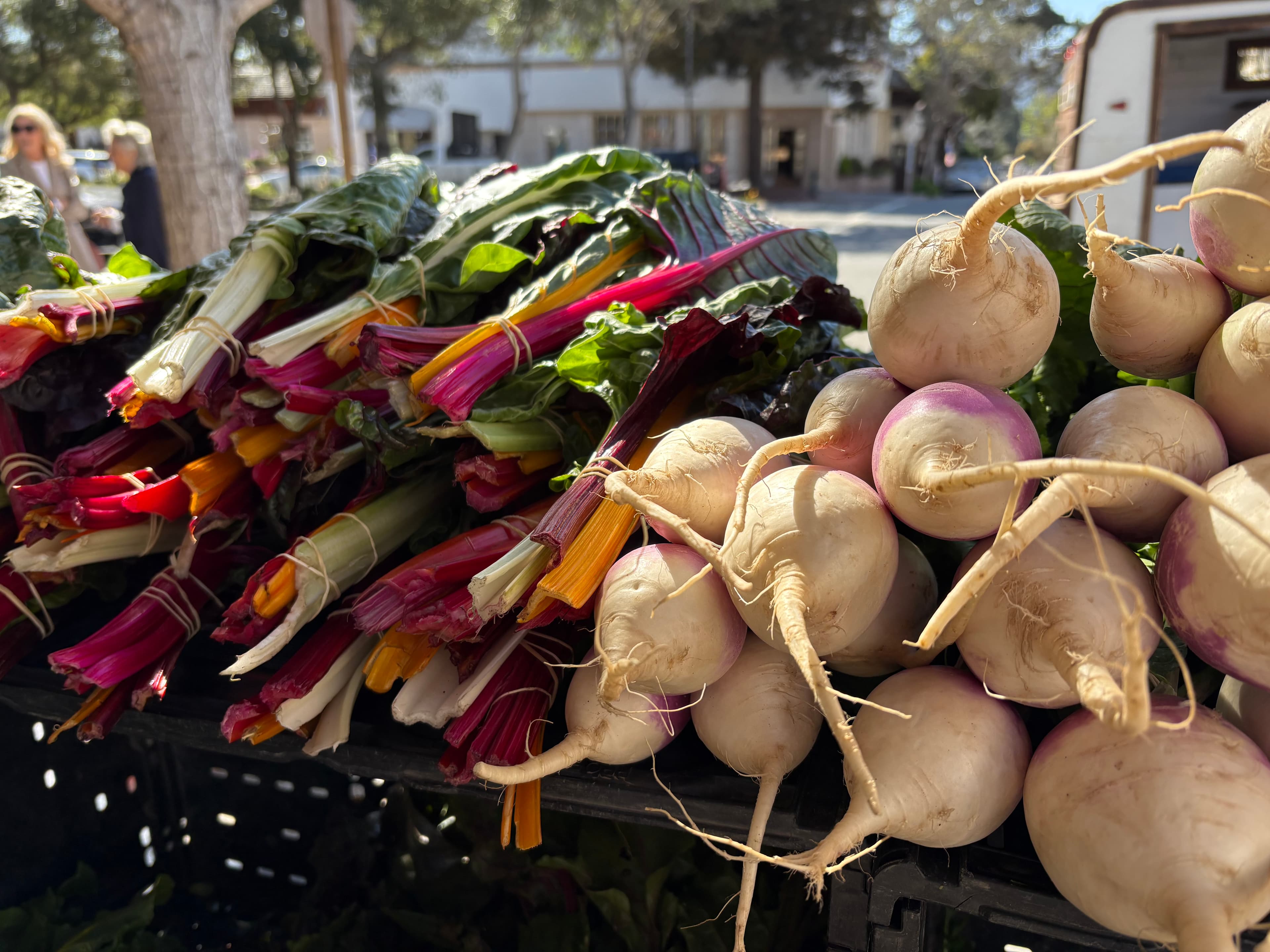 A vibrant display of colorful Swiss chard and white radishes at a market stall.