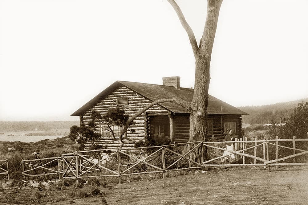 A vintage photograph of a log cabin surrounded by a wooden fence and a large tree.