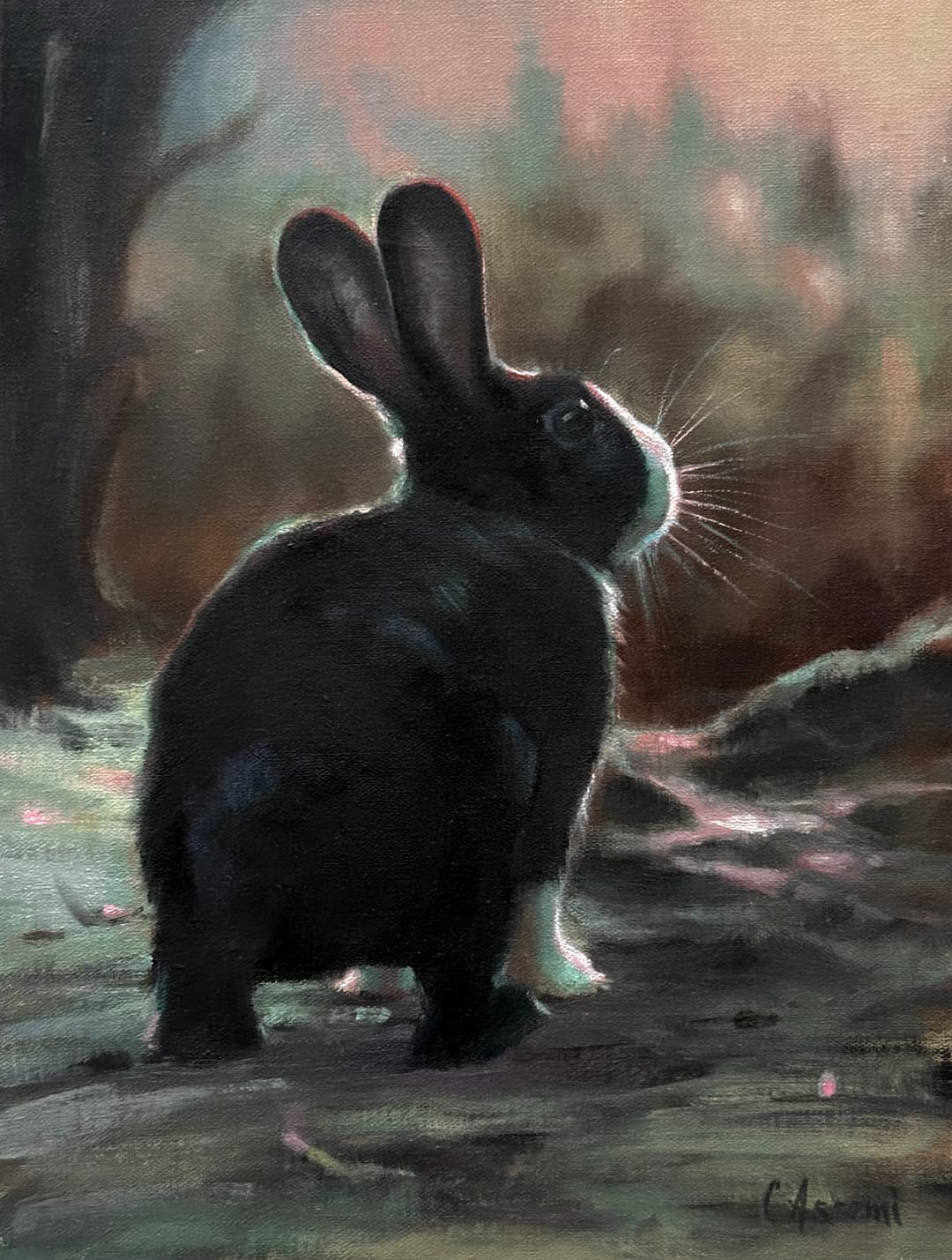 Painting of a rabbit by C Assemi