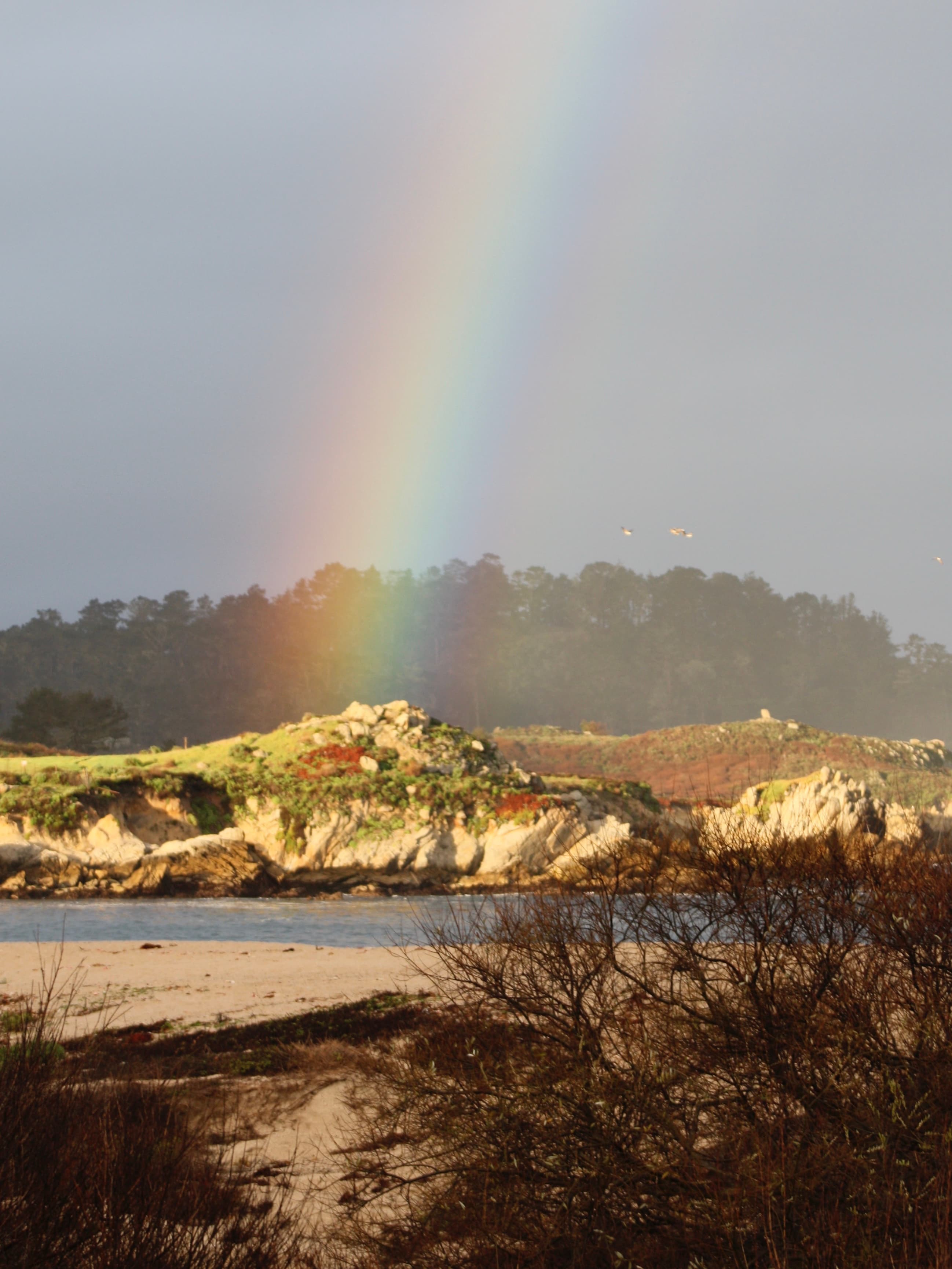 Bright rainbow landing on a cliff next to an ocean inlet.