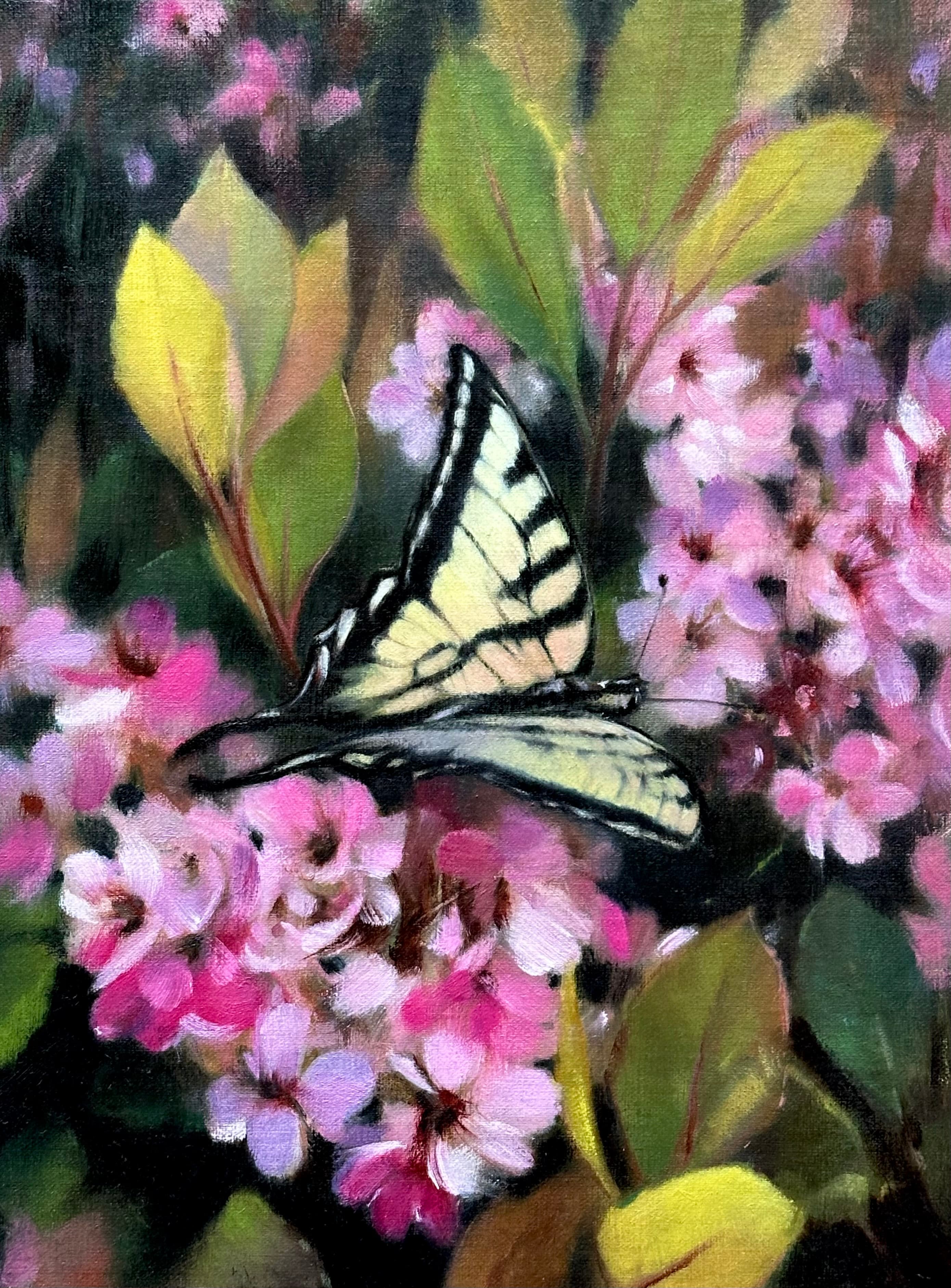 Butterfly painting, butterflies and pink flowers, by C Assemi